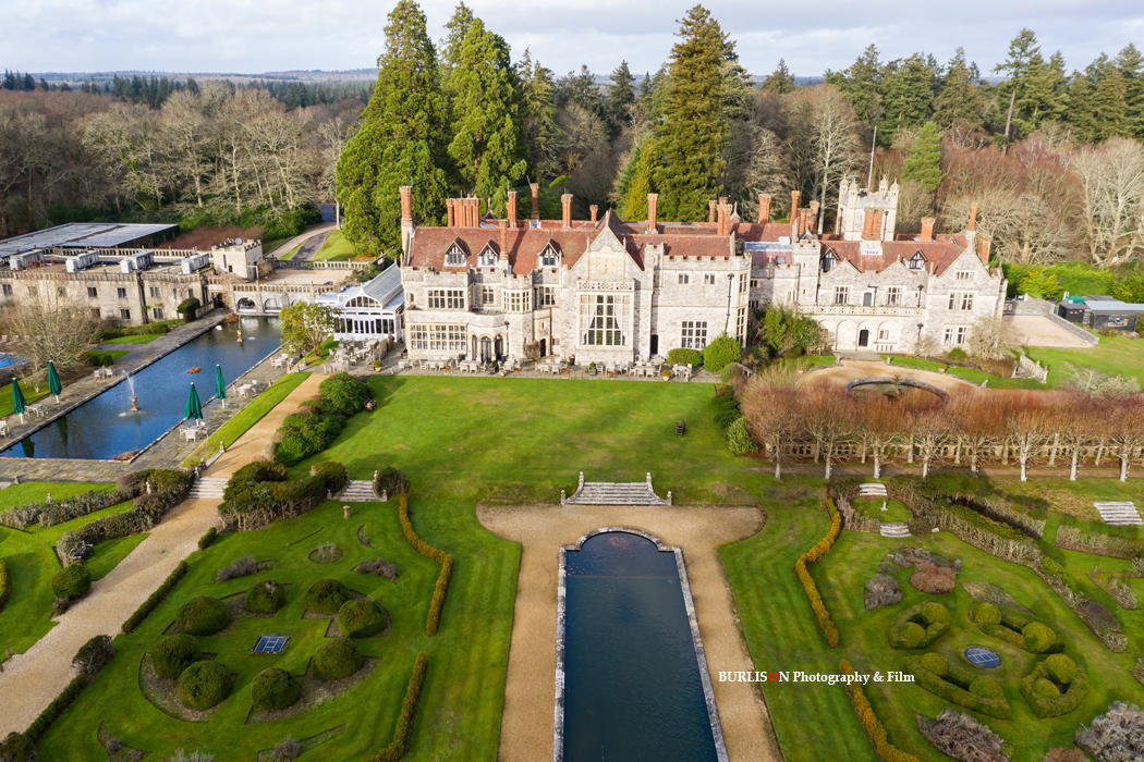New Forest Photographer