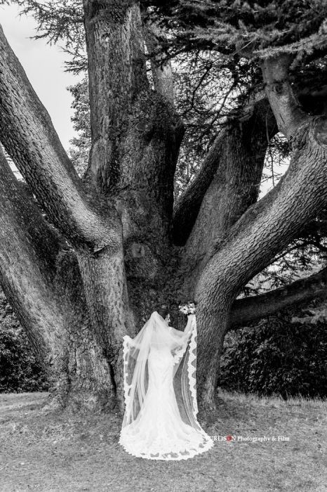 Surrey Wedding Photography