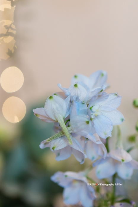 Hatherden Farm Wedding