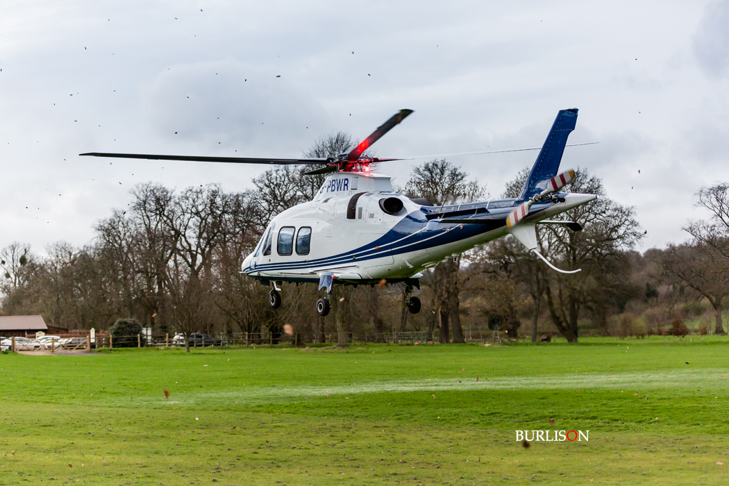 Events at Loseley Park