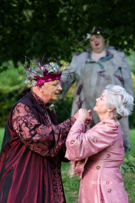 A Midsummer Nights Dream