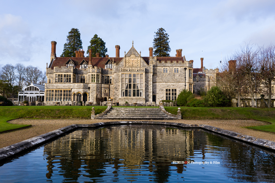 New Forest Photographer