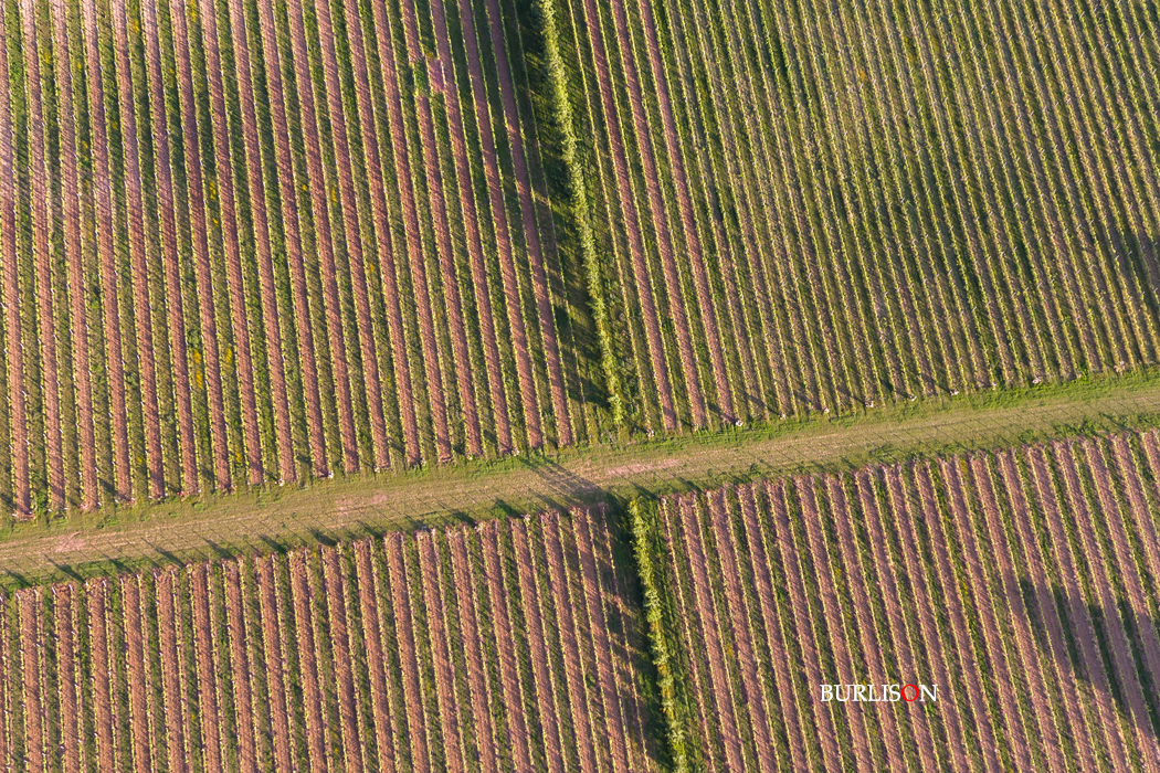 Hattingley Valley Wines