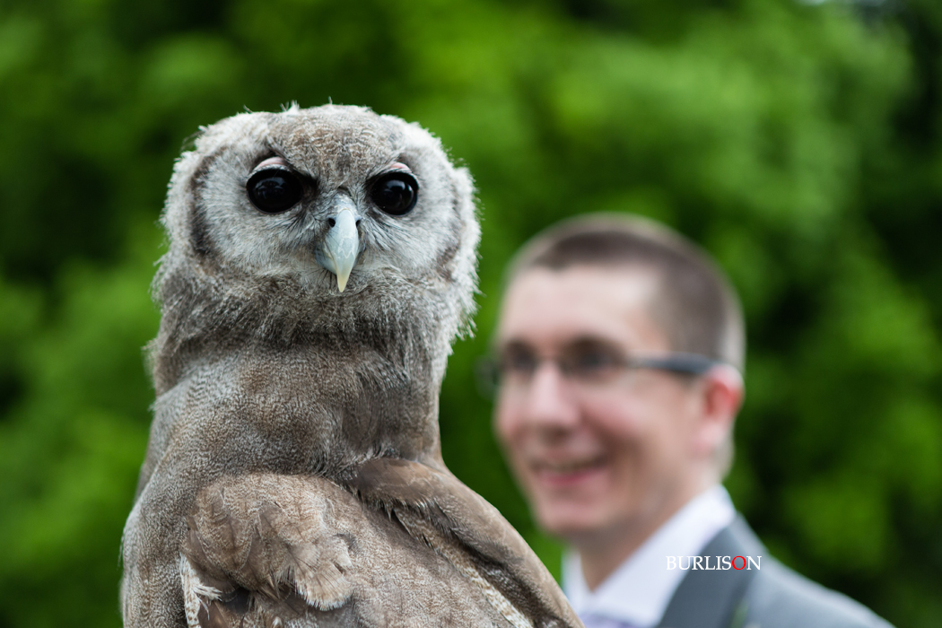 Wedding at Lainston House