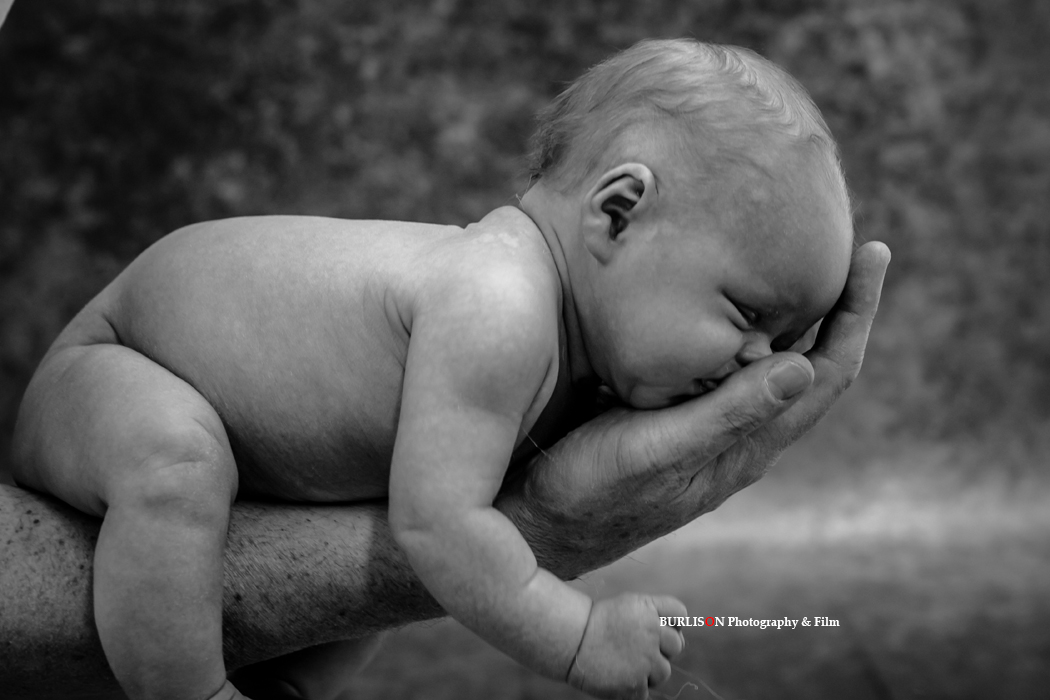 Newborn Portraits