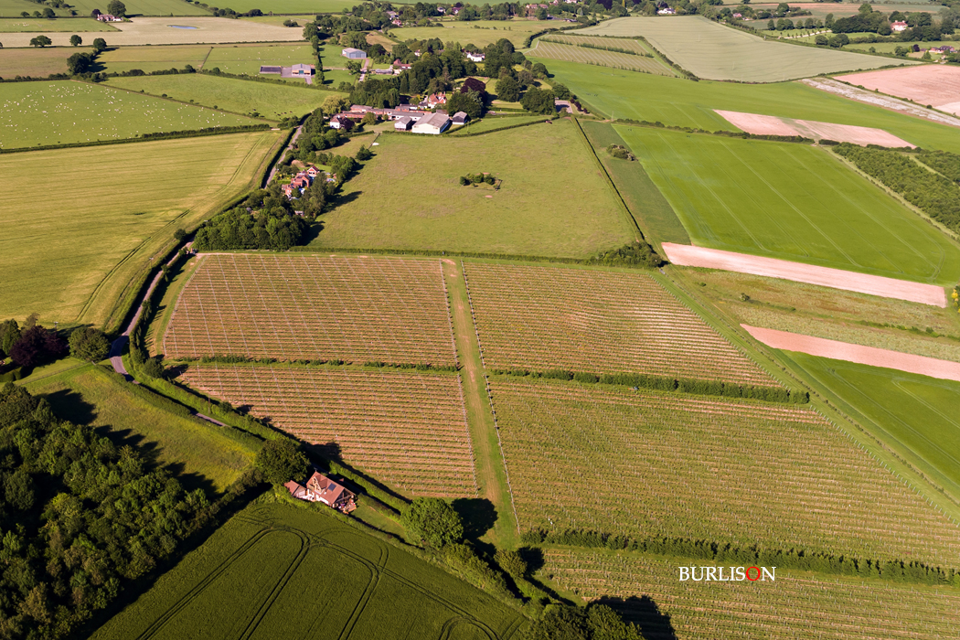 Hattingley Valley Winery