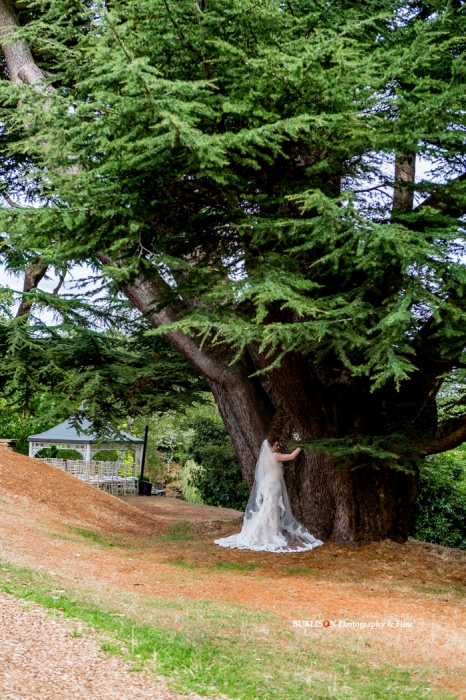 Surrey Wedding Photography