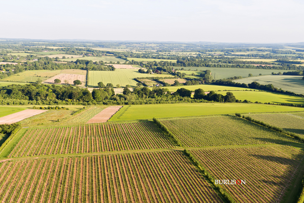 Hattingley Valley Wines