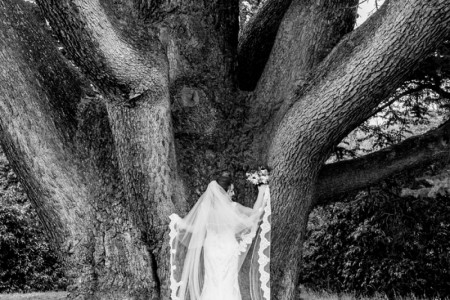 Surrey Wedding Photography