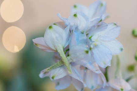 Hatherden Farm Wedding