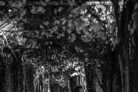 Surrey wedding venues