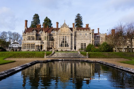 New Forest Photographer