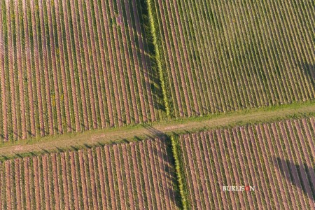 Hattingley Valley Wines