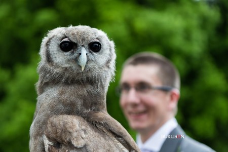 Wedding at Lainston House