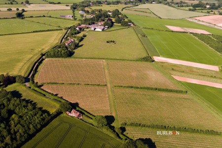 Hattingley Valley Winery