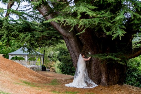 Surrey Wedding Photography