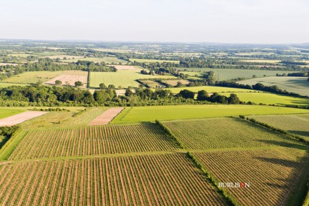 Hattingley Valley Wines